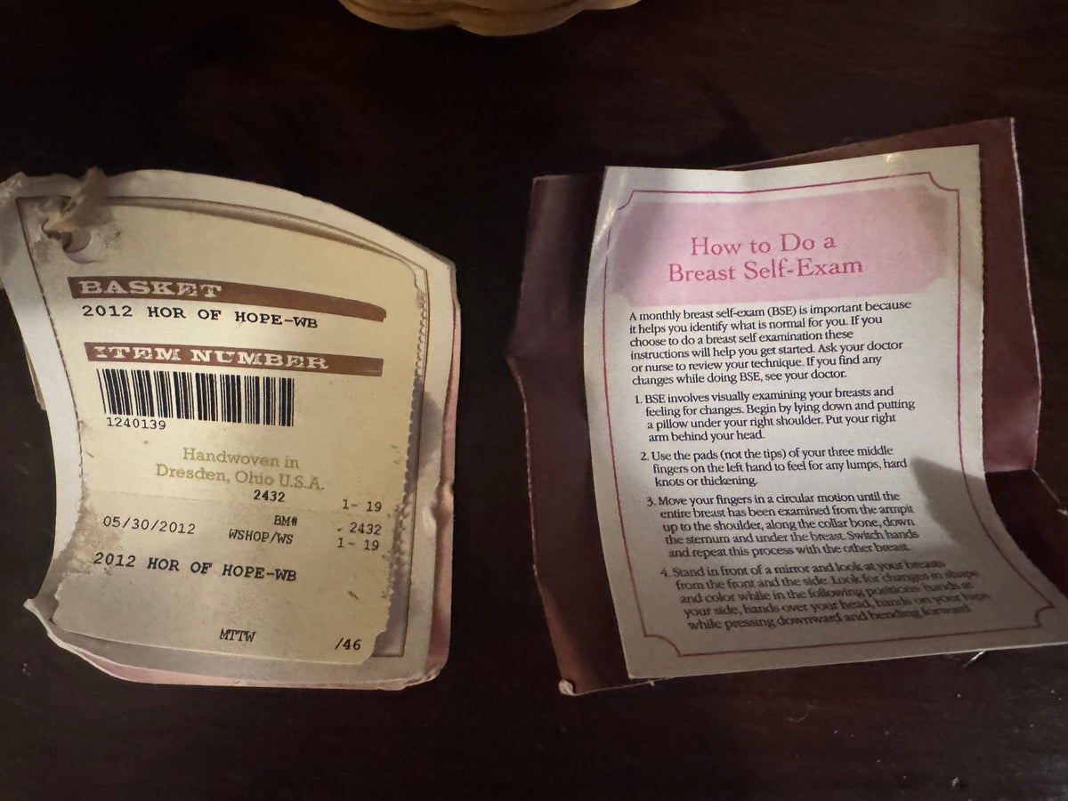 2012 Longaberger Horizon of Hope Basket Set with Lid, Tag & Pamphlet